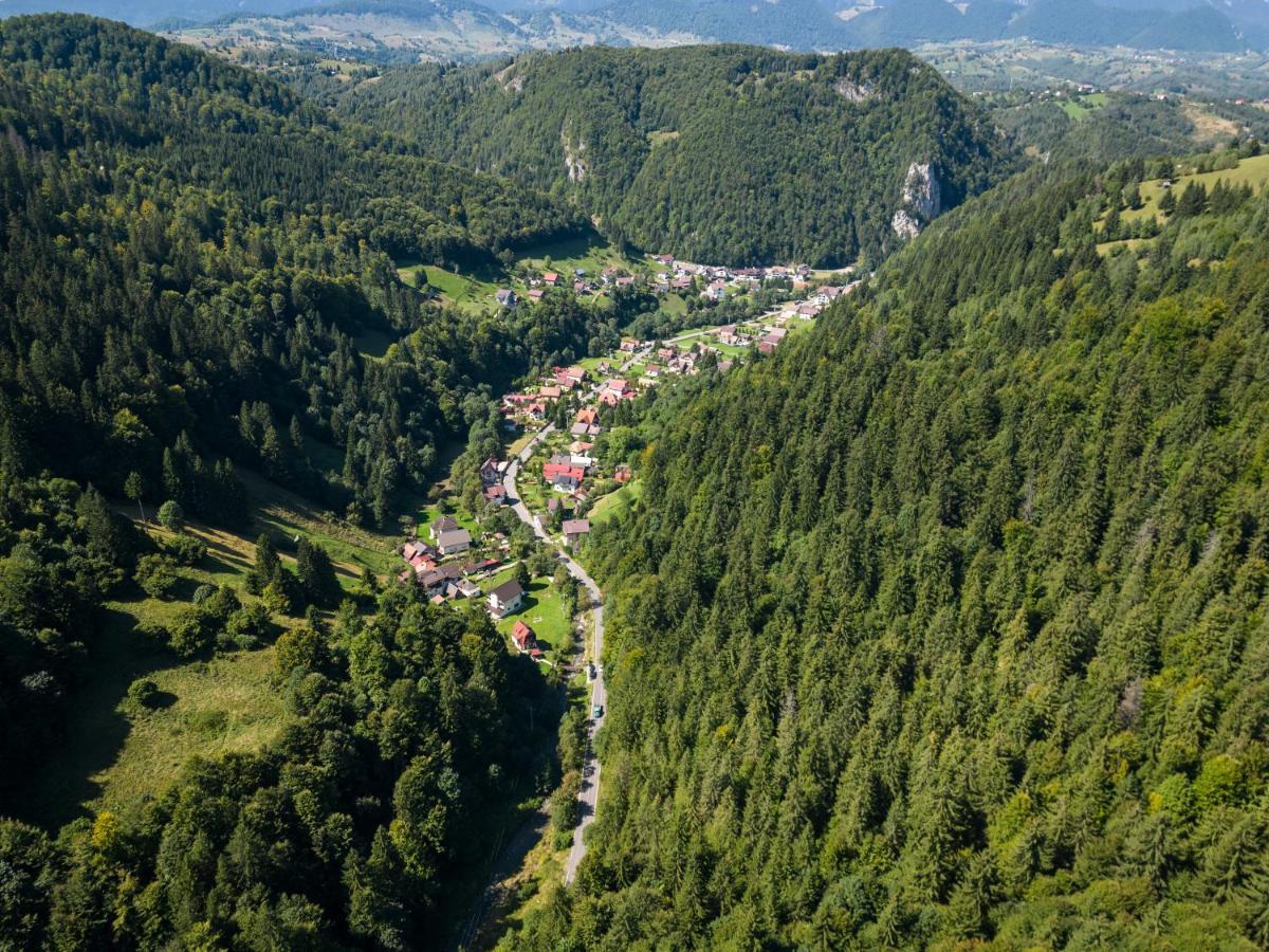 Oasis Mountain Villa Braşov Esterno foto
